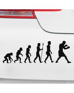 Autoaufkleber Evolution Boxen