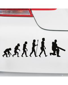 Autoaufkleber Evolution Cricket