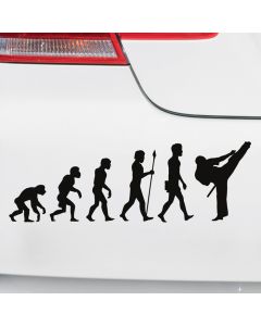 Autoaufkleber Evolution Karate