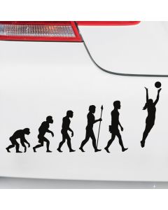 Autoaufkleber Evolution Volleyball