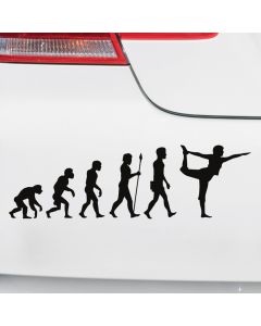 Autoaufkleber Evolution Yoga