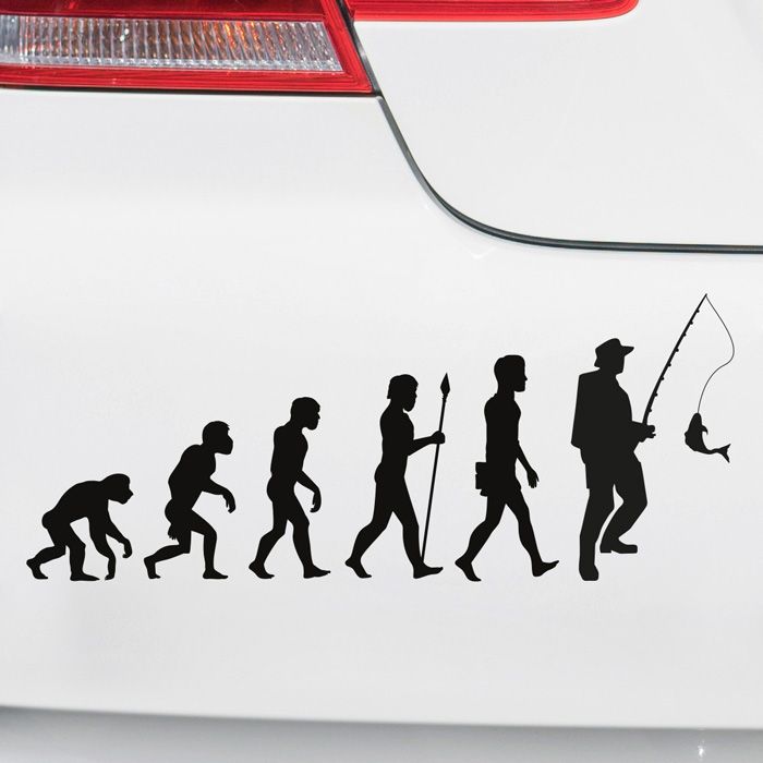 Autoaufkleber Evolution Angeln main product photo