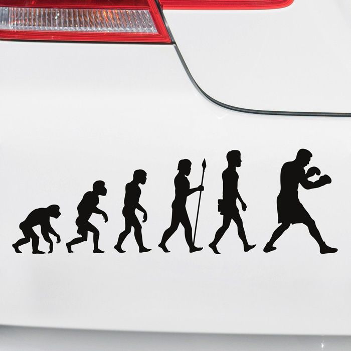 Autoaufkleber Evolution Boxen main product photo