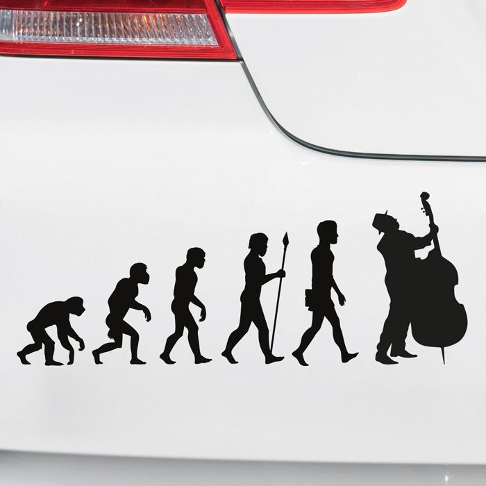 Autoaufkleber Evolution Cello main product photo