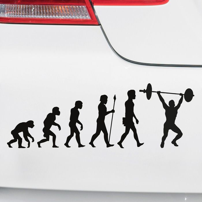 Autoaufkleber Evolution Gewichtheben main product photo