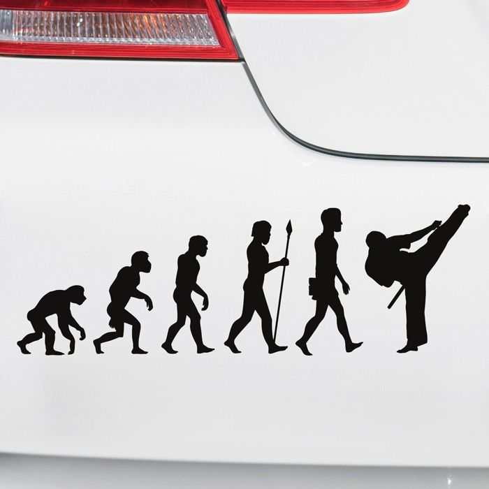 Autoaufkleber Evolution Karate main product photo