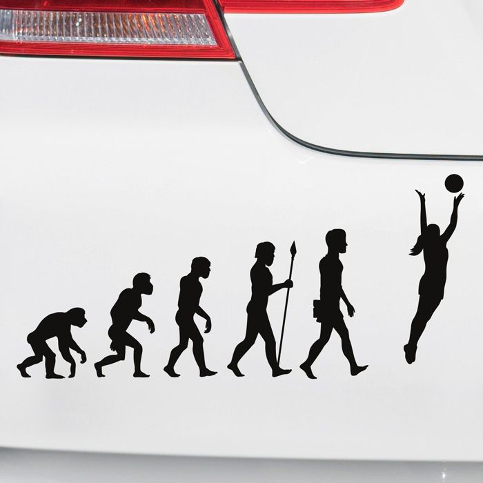 Autoaufkleber Evolution Volleyball main product photo